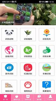 Image result for 昆虫 App Top
