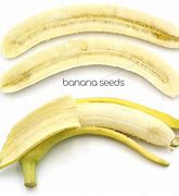 Image result for Banana Seeds