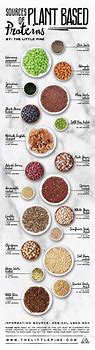 Image result for Plant-Based Sources of Protein
