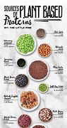 Image result for Natural High Protein Foods