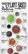 Image result for Plant-Based Carbs