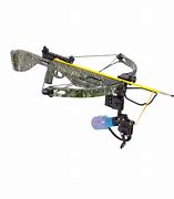 Image result for Fishing Crossbow with Reel