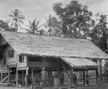 Image result for Rumah Adat Panjang