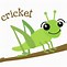 Image result for Crickett Insect Clip Art Free