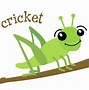 Image result for cricket insect clipart