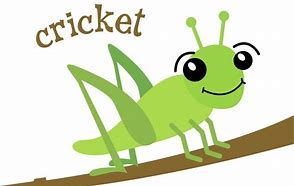 Image result for Cartoon Cricket Drawing