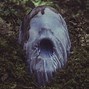 Image result for Scary Creepy Face