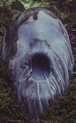 Image result for Scary Creepy Face