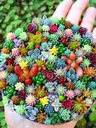 Image result for Small Plant Machenery