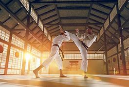 Image result for Karate in Japan