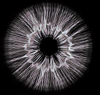 Image result for ZBrush Eye Alpha