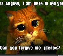Image result for Can You Forgive Me Meme