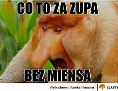 Image result for co_to_za_zupa_owocowa