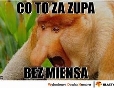 Image result for co_to_za_zupa