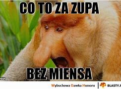 Image result for co_to_za_zupa_mleczna