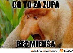 Image result for co_to_za_zupa_z_jaskółczych_gniazd