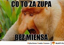 Image result for co_to_za_zupa_instant