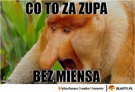 Image result for co_to_za_zupa_szczawiowa