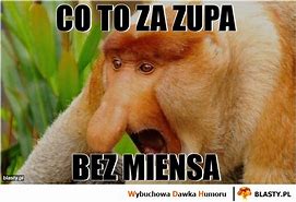 Image result for co_to_za_zupa_błyskawiczna