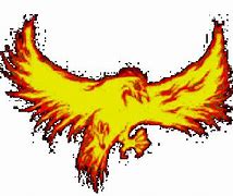 Image result for Winter Phoenix Nation