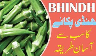 Image result for Bhindi HS Code