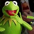 Image result for Disney Muppets Kermit the Frog