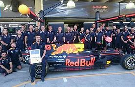 Image result for Red Bull F1 Team Members