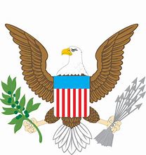 Image result for america eagle emblem