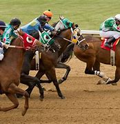 Image result for Horse Race