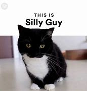 Image result for Nwoo Cat Meme