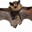 Image result for Angry Face with Bat