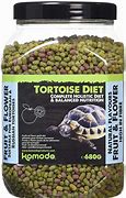 Image result for Reptile Sbrid Food
