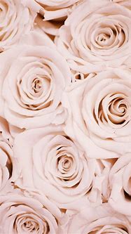 Image result for Rose Gold Wallpaper for iPhone Cute