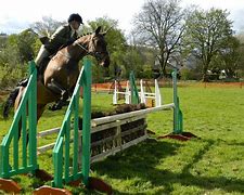 Image result for Horse Jumping Background