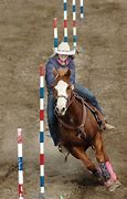 Image result for Pole Racing Horse