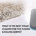 Image result for Best Steam Cleaner Tile Floors