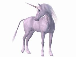 Image result for Unicorn Characteristics