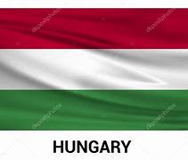 Image result for Official Hungary Flag