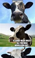 Image result for Holy Cow Pun Meme