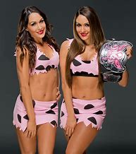 Image result for Brie and Nikki Bella Hooter