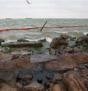 Image result for Galveston Oil Spill