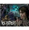 Image result for Harry Potter and Voldemort Fighting