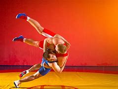 Image result for Animated Wrestling Moves