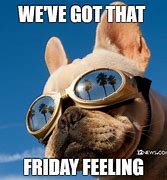 Image result for TGIF Pet Meme