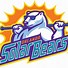 Image result for Minor League Hockey Logos