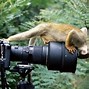 Image result for Funny Photography