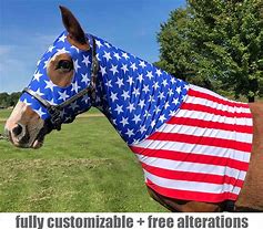 Image result for American Flag Costume