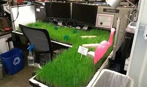 Image result for Fun Office Supplies for Desk