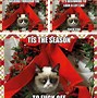 Image result for Grumpy Cat Christmas