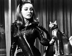 Image result for Batman The Cat and the Fiddle Catwoman Julie Newmar